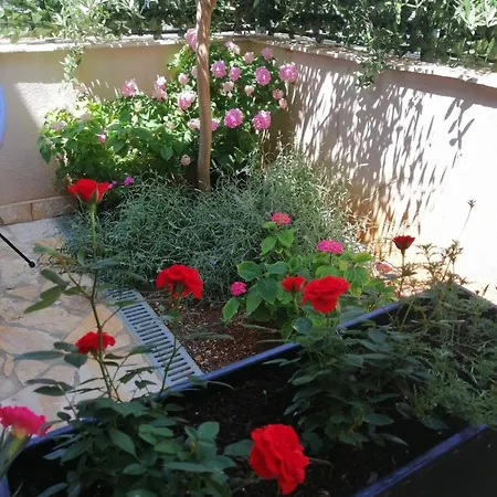 Casa Calle Apartament *