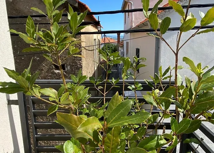Casa Calle Kali